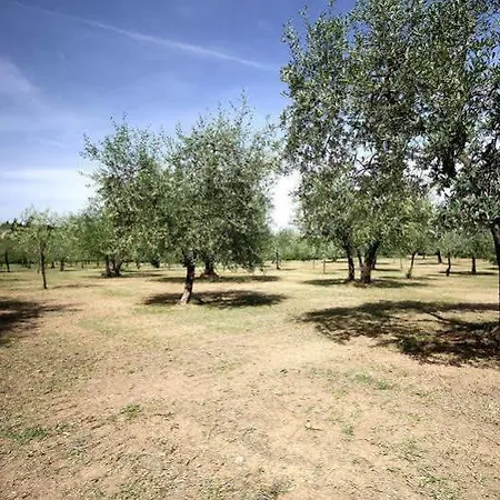 Molinuzzo Barberino di Val dʼElsa